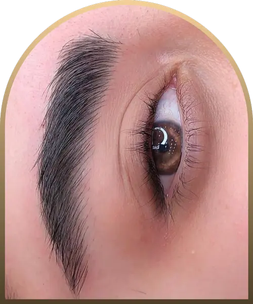 نمونه کار میکروبلیدینگ سالن زیبایی ژاله عادلی